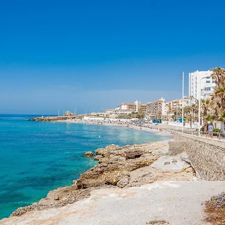 Palmeras Playa Centro Nerja