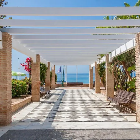 Palmeras Playa Centro Nerja